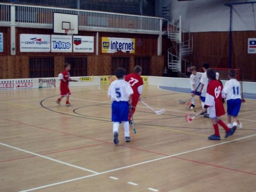 z9.jpg